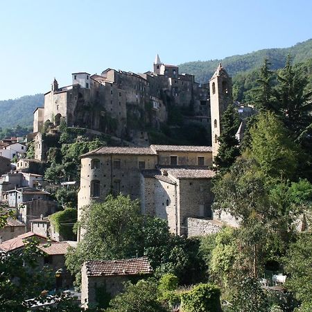 Villa Rustic Liguria Ceriana Esterno foto