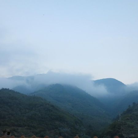 Villa Rustic Liguria Ceriana Esterno foto