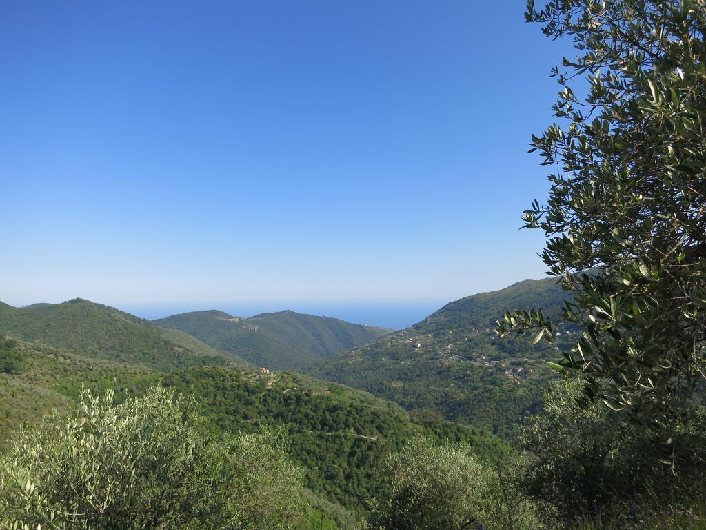 Villa Rustic Liguria Ceriana Esterno foto