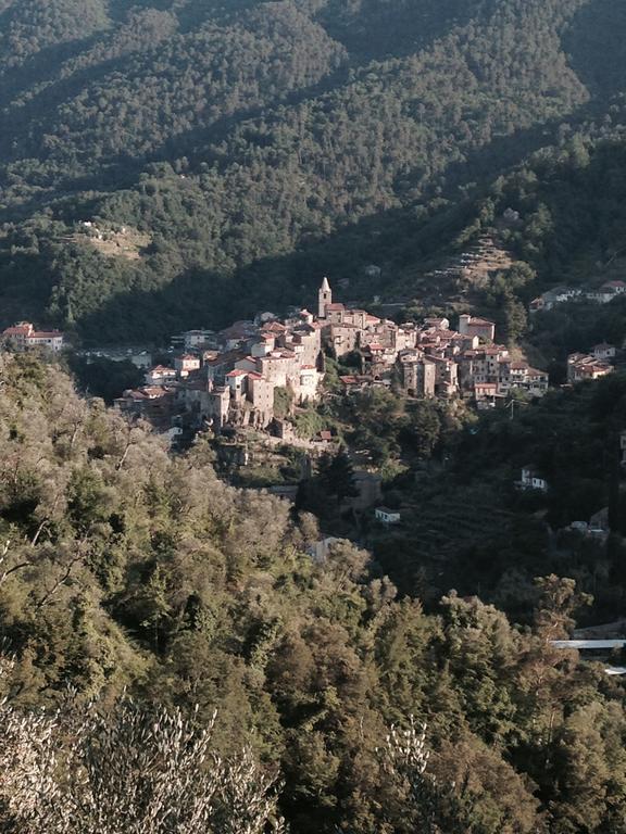 Villa Rustic Liguria Ceriana Esterno foto